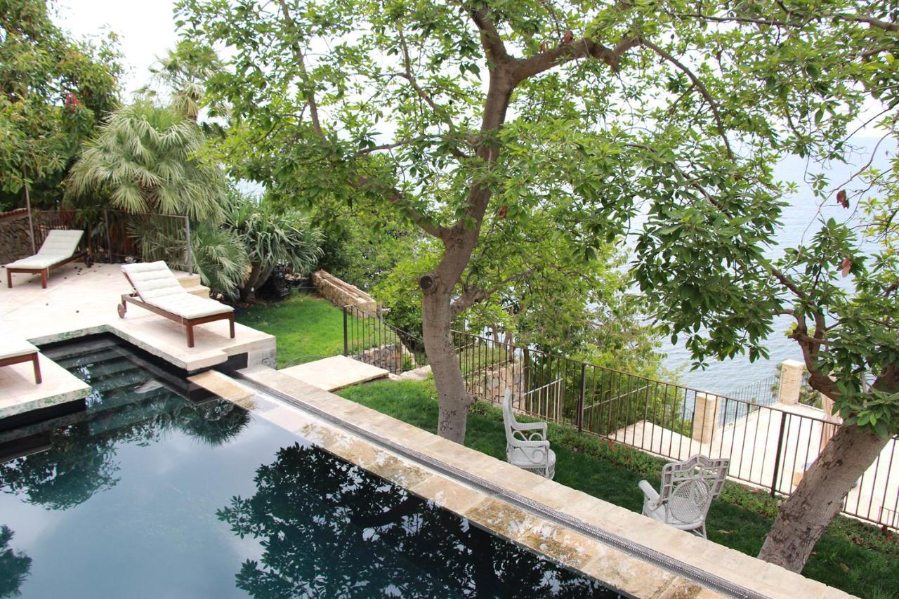 El Jardin Botanico Villa Luz Altea Eksteriør bilde