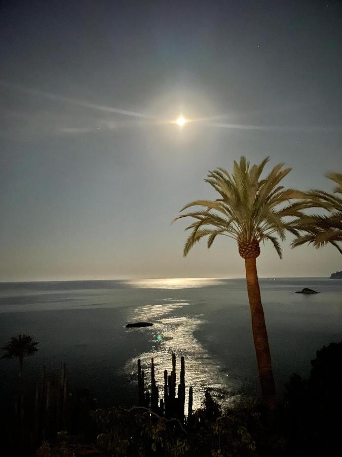 El Jardin Botanico Villa Luz Altea Eksteriør bilde