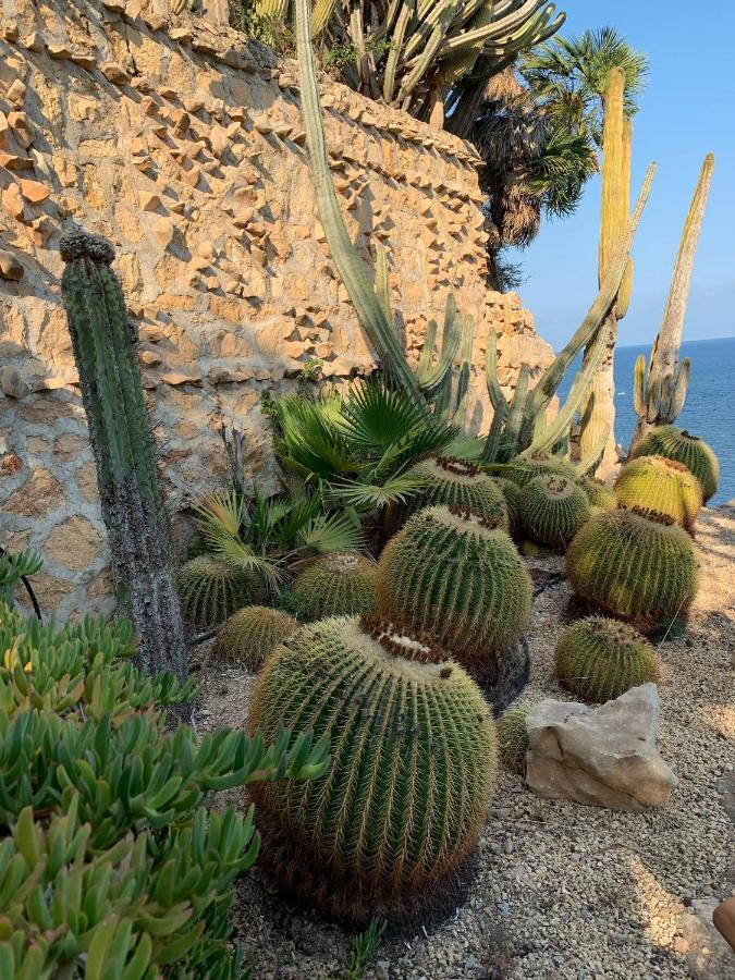El Jardin Botanico Villa Luz Altea Eksteriør bilde