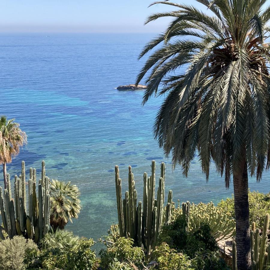 El Jardin Botanico Villa Luz Altea Eksteriør bilde