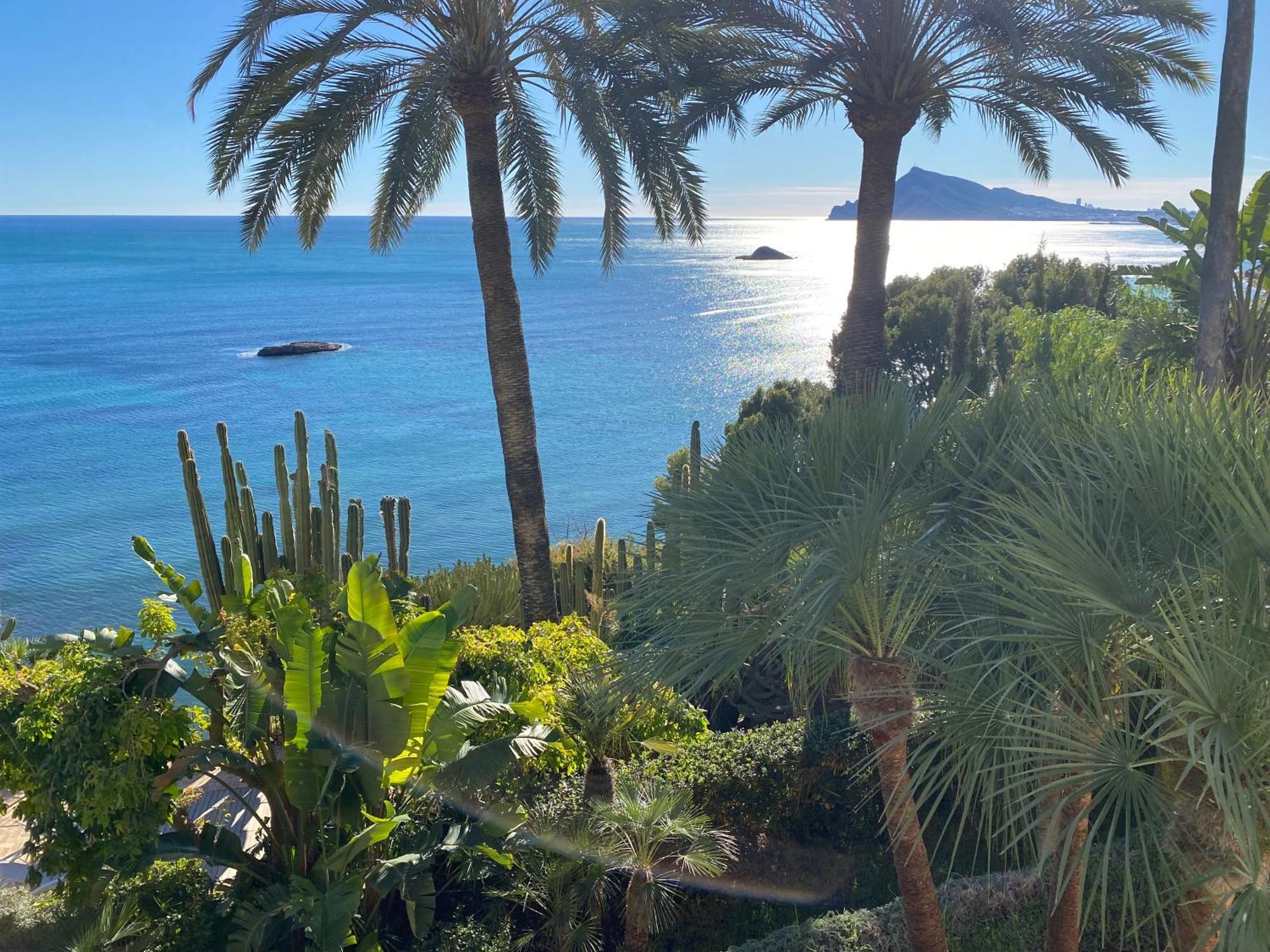 El Jardin Botanico Villa Luz Altea Eksteriør bilde