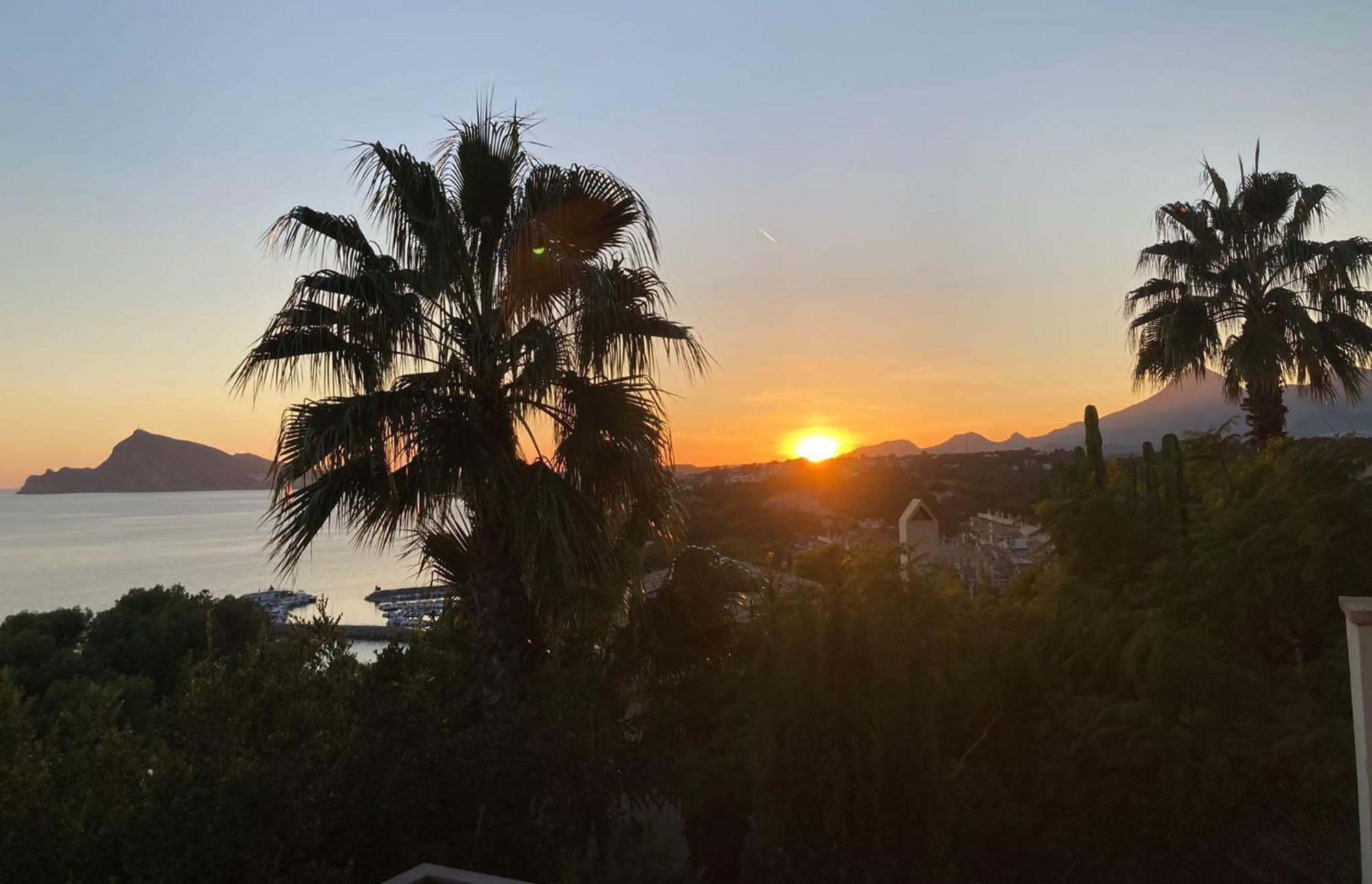 El Jardin Botanico Villa Luz Altea Eksteriør bilde